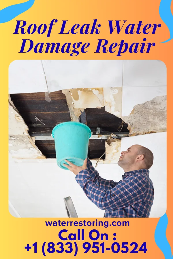 Roof Leak Water Damage Repair in Stamping Ground, KY