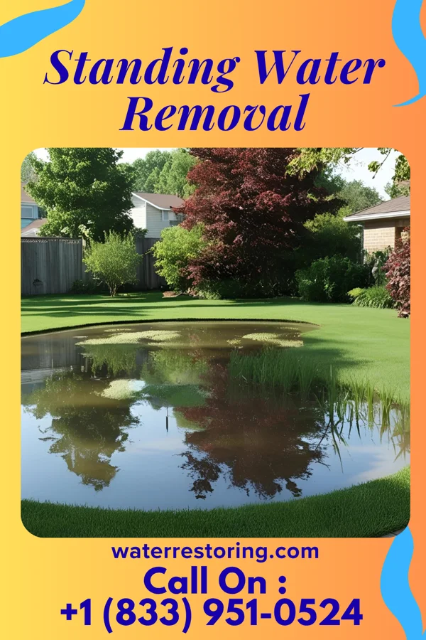 Standing Water Removal in Stamping Ground, KY